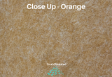 Hexagon PET Felt Acoustic Panels - 12 Pack - Eco Friendly Sound Absorption Panels
