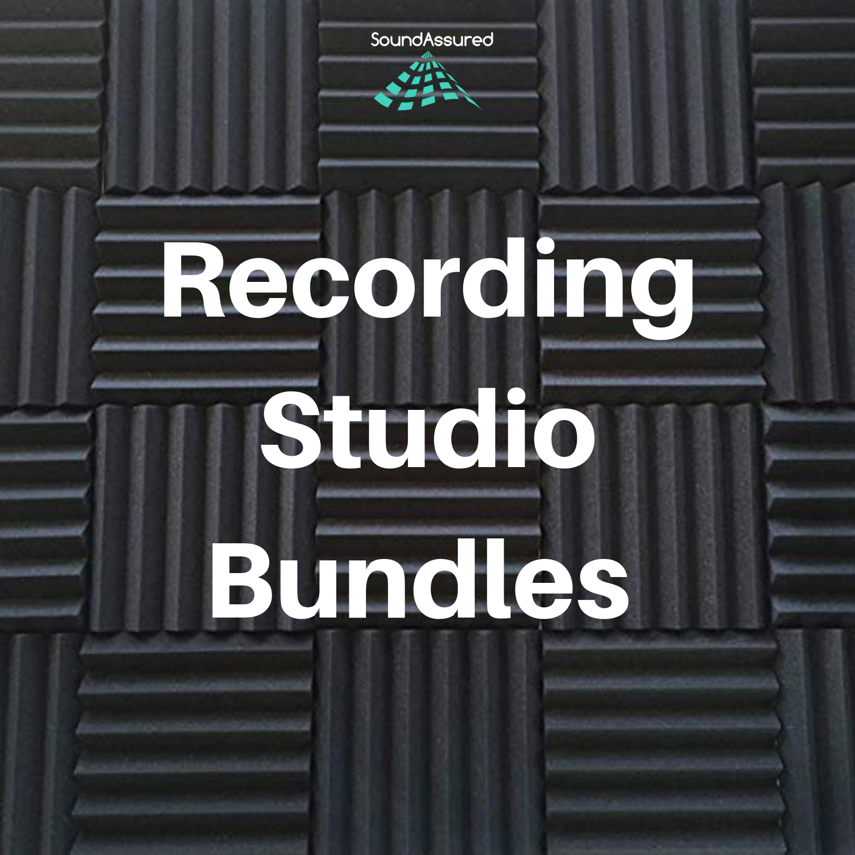  Acoustic Panels Sound Absorbing 12 Pack, 12x12x2 Sound Proof  Foam Panels for Home Studio, Sound Dampening Panels, Acoustic Foam Panels  for Recording Studio Acoustical Treatments : Musical Instruments