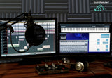 Pop Filter / Microphone Wind Shield